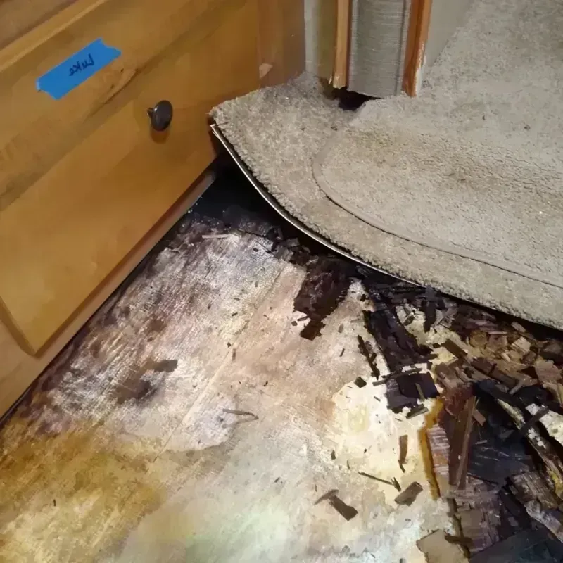 Wood Floor Water Damage in Delaware County, PA